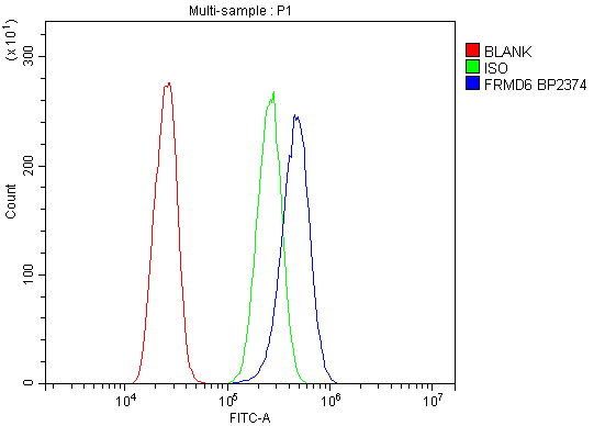 a08826 2 frmd6 primary antibodies fc testing 4