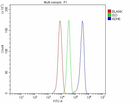  Flow Cytometry analysis of HepG2 cells using anti-ADH6 antibody (A08835-1)