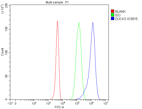 a08904 dock3 primary antibodies fcm testing 1
