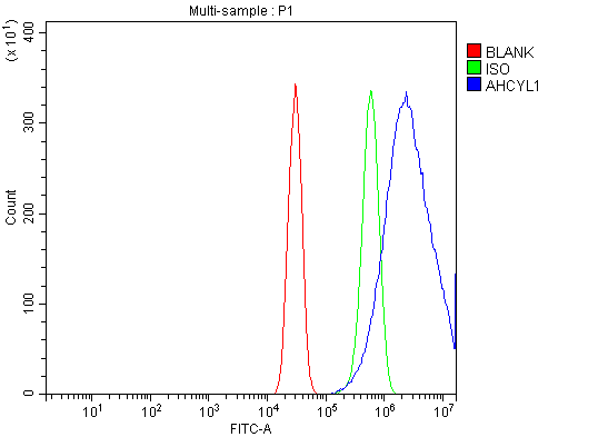 a08908 2 ahcyl1 primary antibodies fcm testing 10