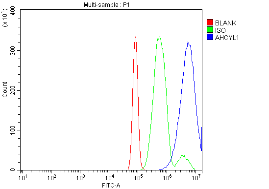 a08908 2 ahcyl1 primary antibodies fcm testing 11