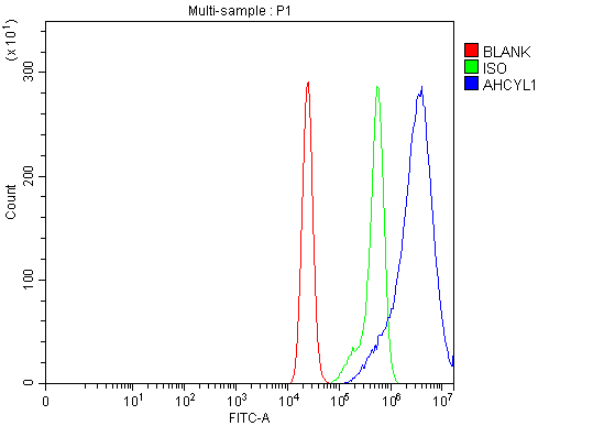a08908 2 ahcyl1 primary antibodies fcm testing 9