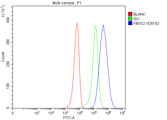 a08912 1 fbxo2 primary antibodies fcm testing 1