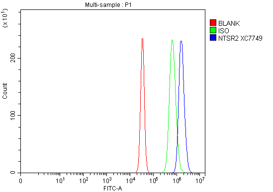 Flow Cytometry analysis of Neuro-2a cells using anti-NTSR2 antibody (A08916-2)