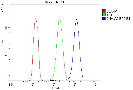 a08918 1 dnaja2 primary antibodies fc testing 6