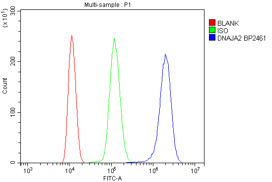 a08918 1 dnaja2 primary antibodies fc testing 7