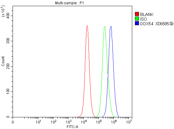 Flow Cytometry analysis of PC-3 cells using anti-DDX54 antibody (A08923-2)