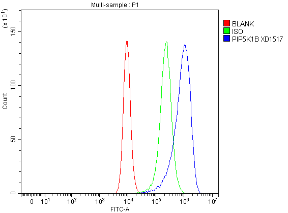  Flow Cytometry analysis of CACO-2 cells using anti-PIP5K1B antibody (A08932-1)