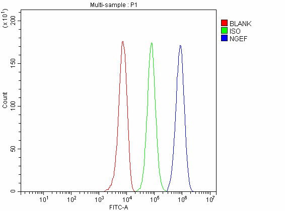a08935 1 ngef primary antibodies fcm testing 2