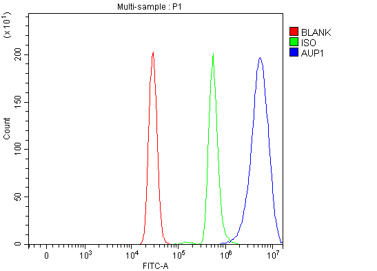 a08937 1 aup1 primary antibodies fcm testing 2