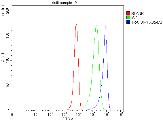Flow Cytometry analysis of HepG2 cells using anti-TRAF3IP1 antibody (A08944-2)