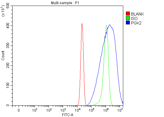 a08946 1 pgk2 primary antibodies fcm testing 4
