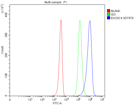 Flow Cytometry analysis of 293T cells using anti-EXOSC4 antibody (A08953-1)