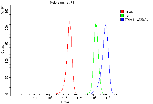 Flow Cytometry analysis of MCF-7 cells using anti-TRIM11 antibody (A08971-2)
