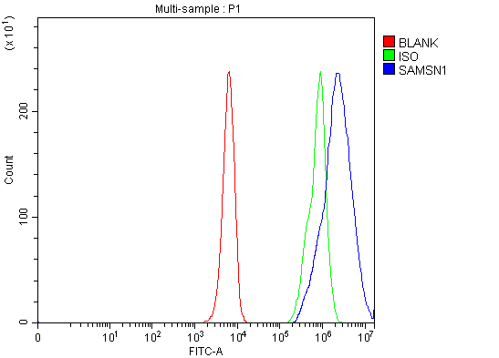 a08977 2 samsn1 primary antibodies fcm testing 6