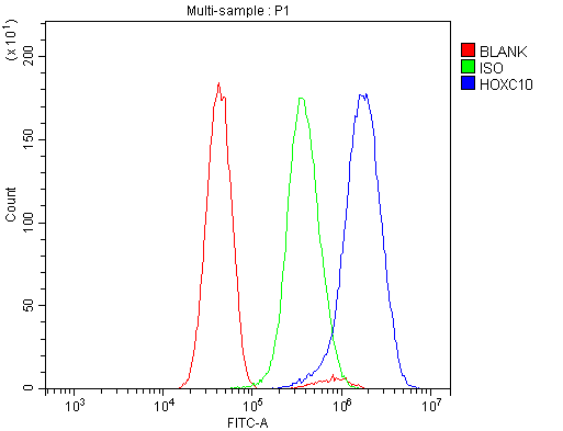 a09018 1 hoxc10 primary antibodies fcm testing 3