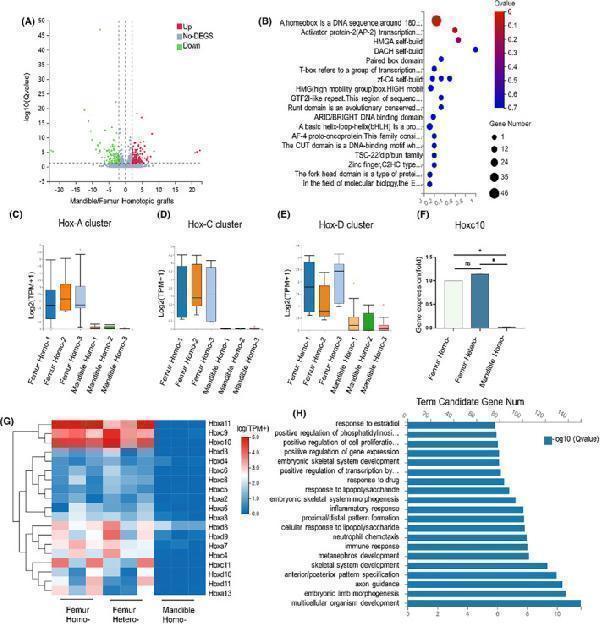 RNA sequencing of callus