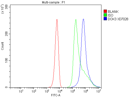 Flow Cytometry analysis of K562 cells using anti-DOK3 antibody (A09019-2)