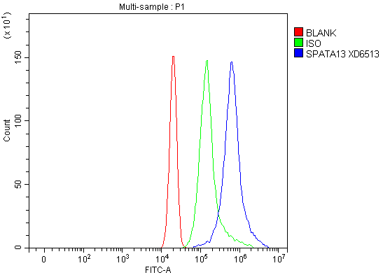 a09031 1 spata13 primary antibodies fcm testing 1