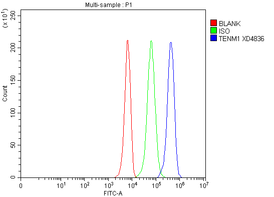 a09038 1 tenm1 primary antibodies fcm testing 1