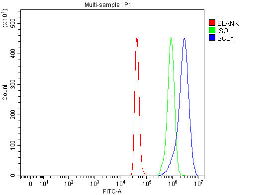 a09046 scly primary antibodies fcm testing 8