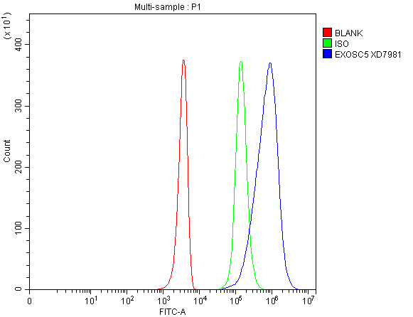 a09048 exosc5 primary antibodies fcm testing 1