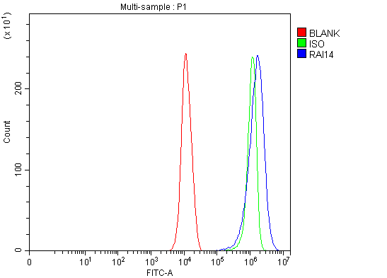 a09059 1 rai14 primary antibodies fcm testing 2