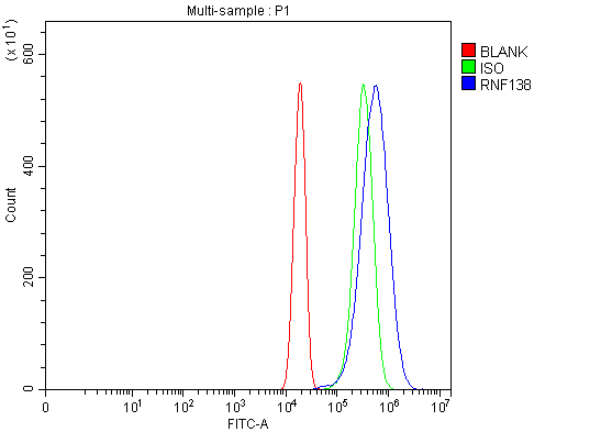 a09061 rnf138 primary antibodies fcm testing 2