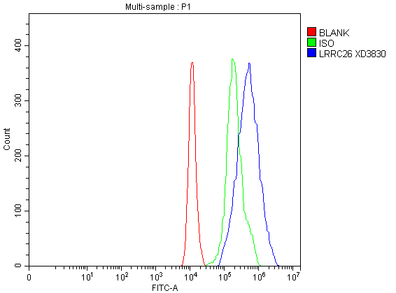a09062 1 lrrc26 primary antibodies fcm testing 1