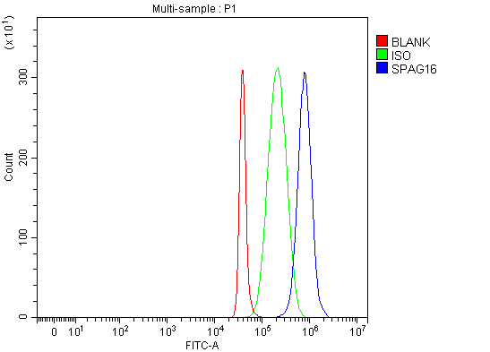  Flow Cytometry analysis of SH-SY5Y cells using anti-SPAG16 antibody (A09080-3)