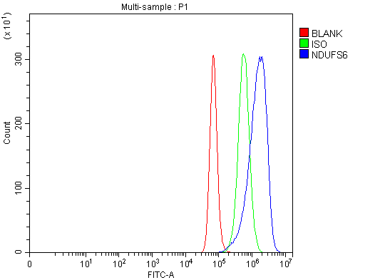a09082 2 ndufs6 primary antibodies fcm testing 6_1