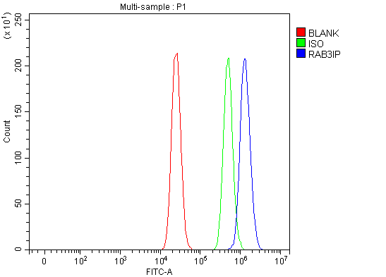 a09085 3 rab3ip primary antibodies fcm testing 6