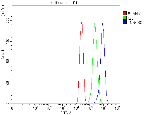  Flow Cytometry analysis of U251 cells using anti-TNRC6C antibody (A09089)