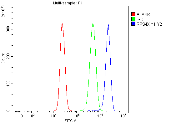 a09096 1 rps4x primary antibodies fcm testing 2