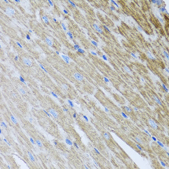 a09105 mtx2 primary antiboties if testing 2