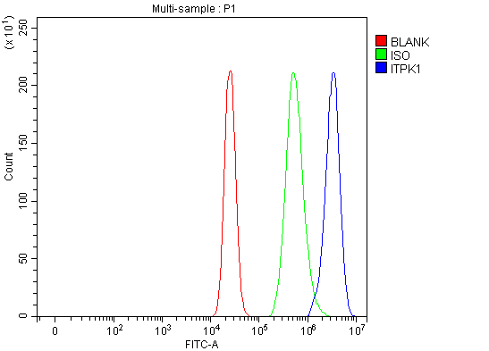  Flow Cytometry analysis of MCF-7 cells using anti-ITPK1 antibody (A09106-2)
