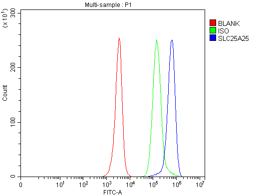 a09109 1 slc25a5 primary antibodies fcm testing 4