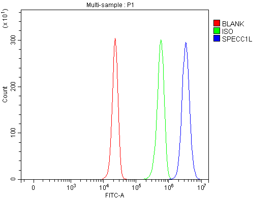 a09120 1 specc1l primary antibodies fcm testing 3