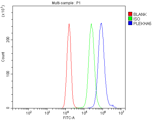  Flow Cytometry analysis of JK cells using anti-PEPP2/PLEKHA5 antibody (A09135-2)