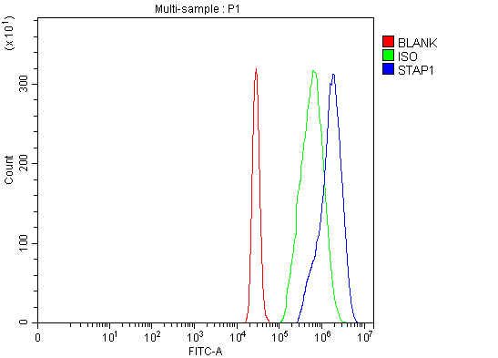  Flow Cytometry analysis of U937 cells using anti-STAP-1/STAP1 antibody (A09142-1)