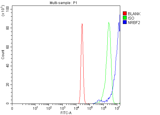  Flow Cytometry analysis of U20S cells using anti-NRBF2 antibody (A09144-2)