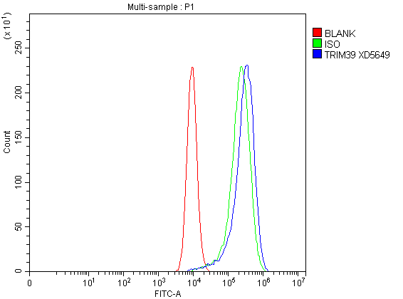 Flow Cytometry analysis of CACO-2 cells using anti-TRIM39 antibody (A09149-1)