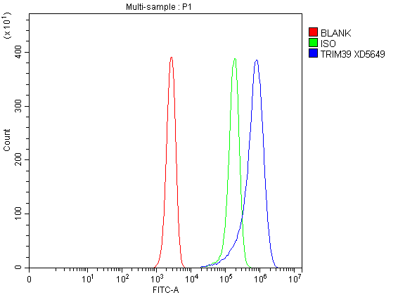Flow Cytometry analysis of Jurkat cells using anti-TRIM39 antibody (A09149-1)