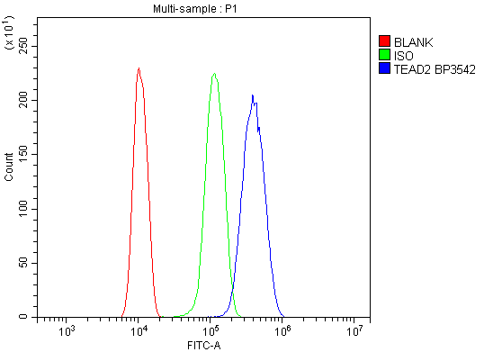 a09168 2 tead2 primary antibodies fcm testing 7