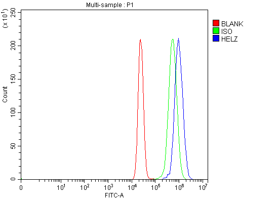 a09181 1 helz primary antibodies fcm testing 4