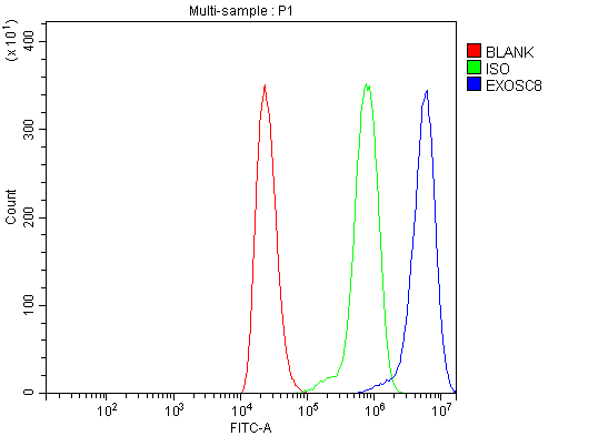 a09191 1 exosc8 primary antibodies fcm testing 10