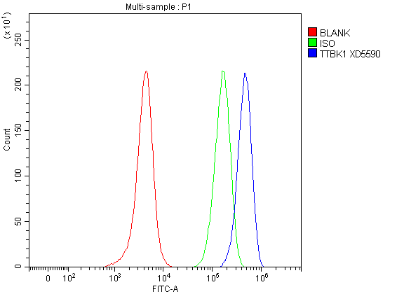 Flow Cytometry analysis of SH-SY5Y cells using anti-TTBK1 antibody (A09202-2)