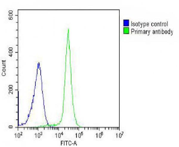 Overlay histogram showing K562 cells stained with A09203-1 (green line). The cells were fixed with 2% paraformaldehyde (10 min). The cells were then icubated in 2% bovine serum albumin to block non-specific protein-protein interactions followed by the antibody (A09203-1, 1:25 dilution) for 60 min at 37C. The secondary antibody used was Goat-Anti-Rabbit IgG, DyLight® 488 Conjugated Highly Cross-Adsorbed at 1/200 dilution for 40 min at 37C. Isotype control antibody (blue line) was rabbit IgG (1microg/1x10^6 cells) used under the same conditions. Acquisition of >10, 000 events was performed.