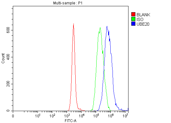 a09217 2 ube2o primary antibodies fcm testing 2