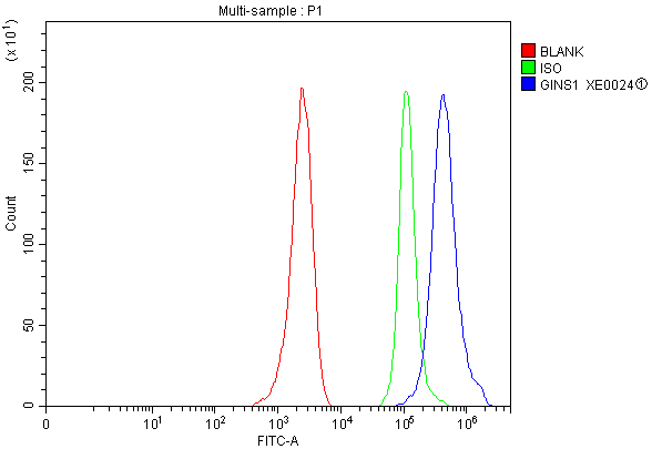 Flow Cytometry analysis of MCF-7 cells using anti-GINS1 antibody (A09225-1)
